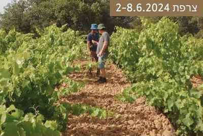 קורסי שטח מקצועיים בחקלאות ביודינאמית