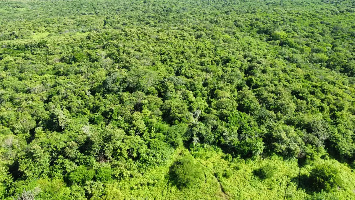 מחפשים בעלי קשרים בסומלילנד בנושא חקלאות ואקלים