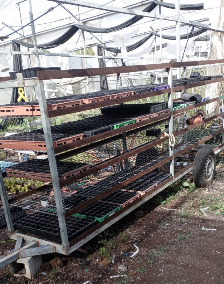 עגלה למשתלות לשינוע מגשים / מנשאים