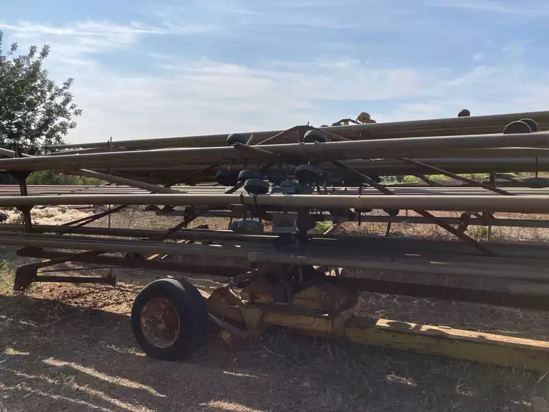 תמונה שלישית