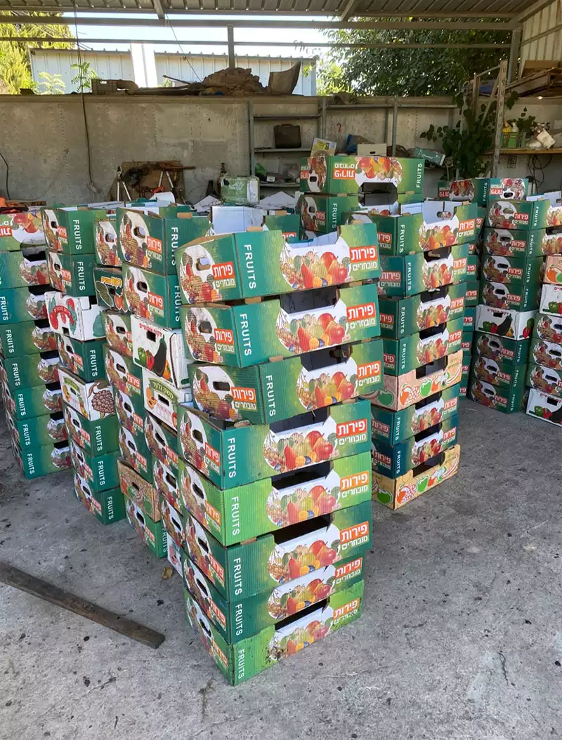 קרטונים לחקלאות 