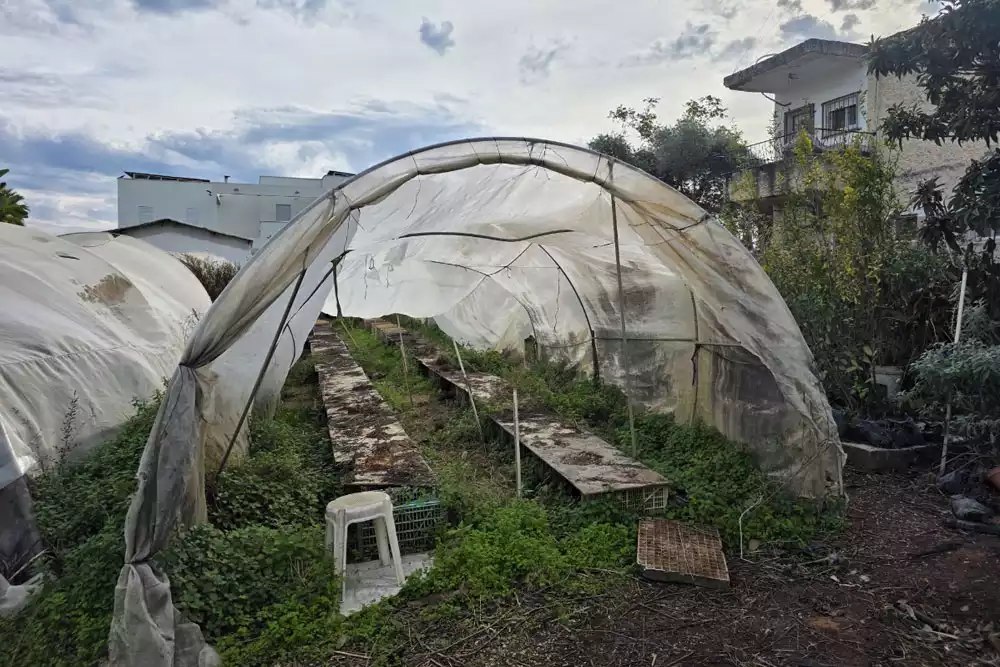 ציוד חקלאי ועצים פניה בואטאפ 