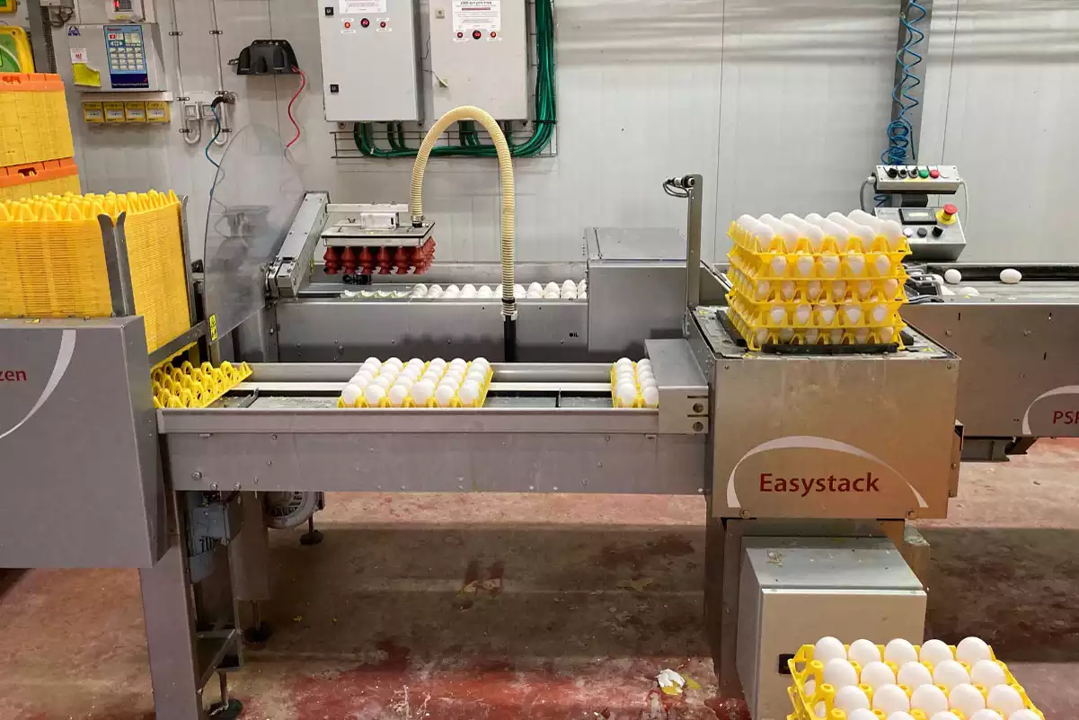מכונת ביצים