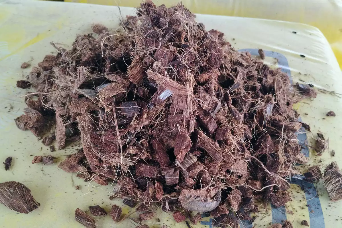 סיבי קוקוס עבה ציפים