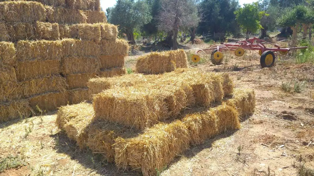 חבילות חציר קטנות