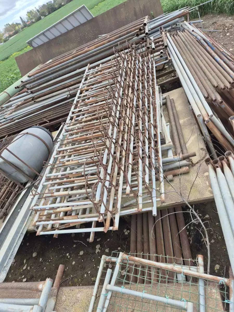 עולים לעגלים יונקים