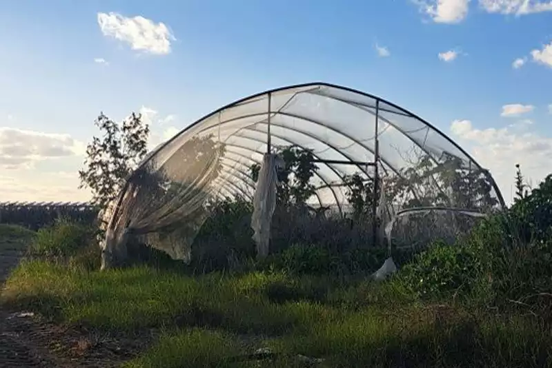 מנהרה וחלקי חממה