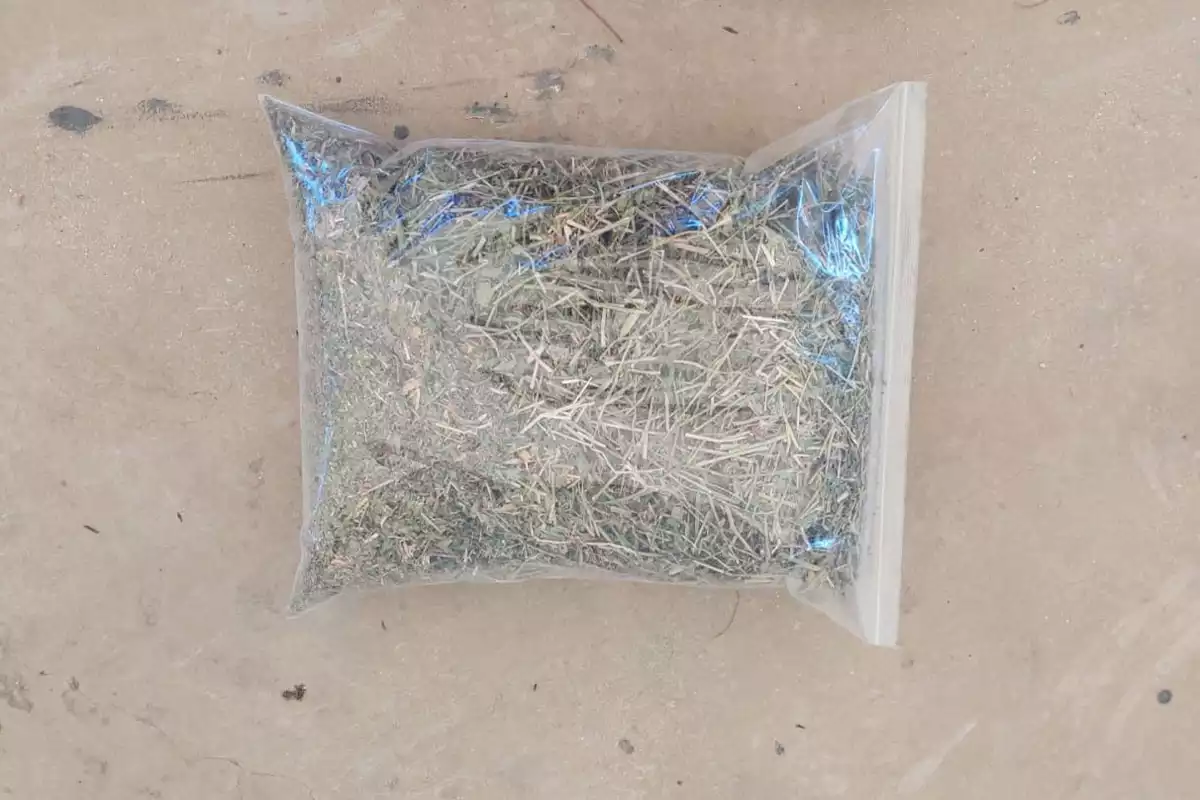 אספסת בחבילות של 1 ק''ג