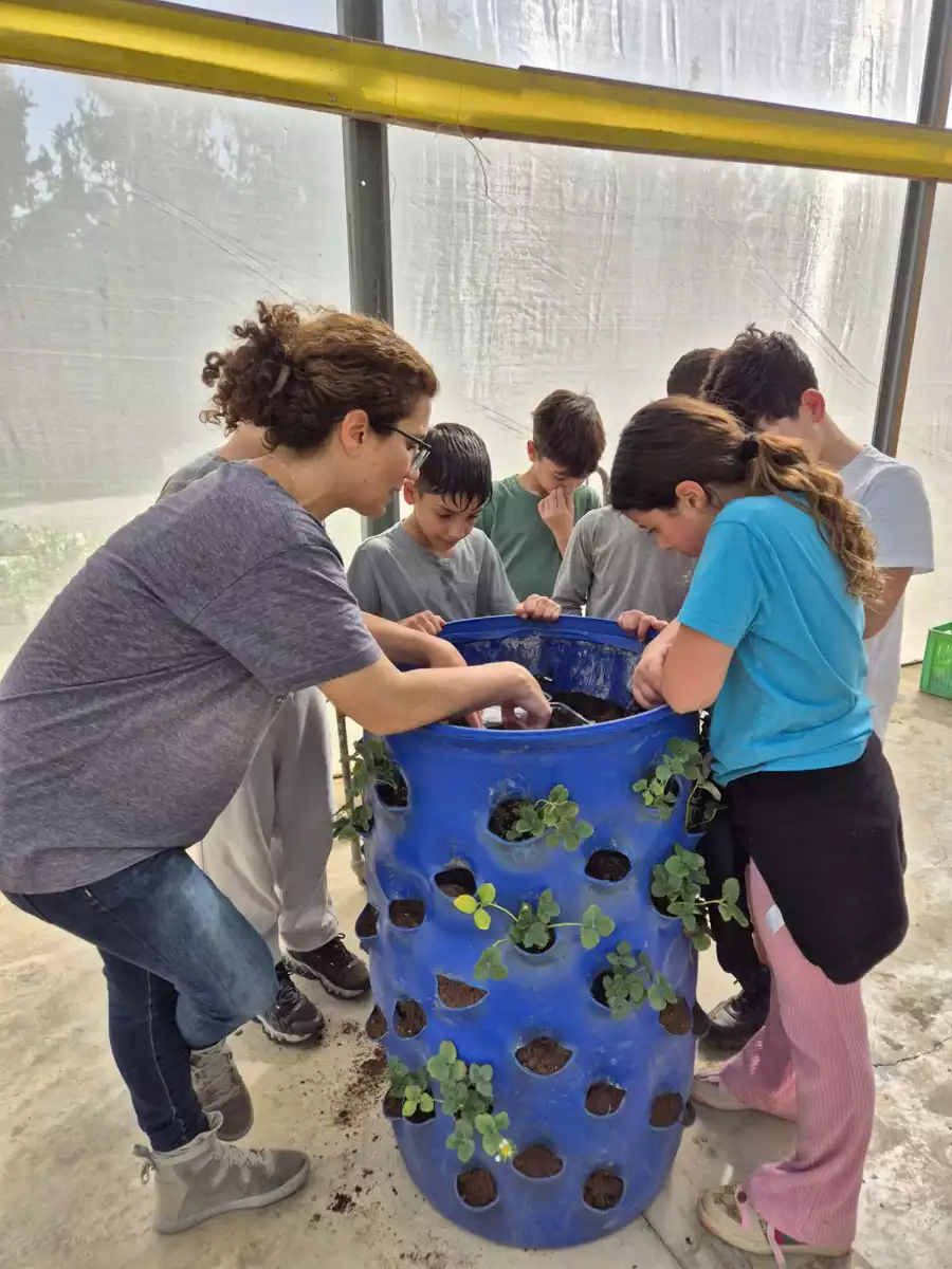 חביתותים- חביות לגידול תותים, ירק ותבלינים 