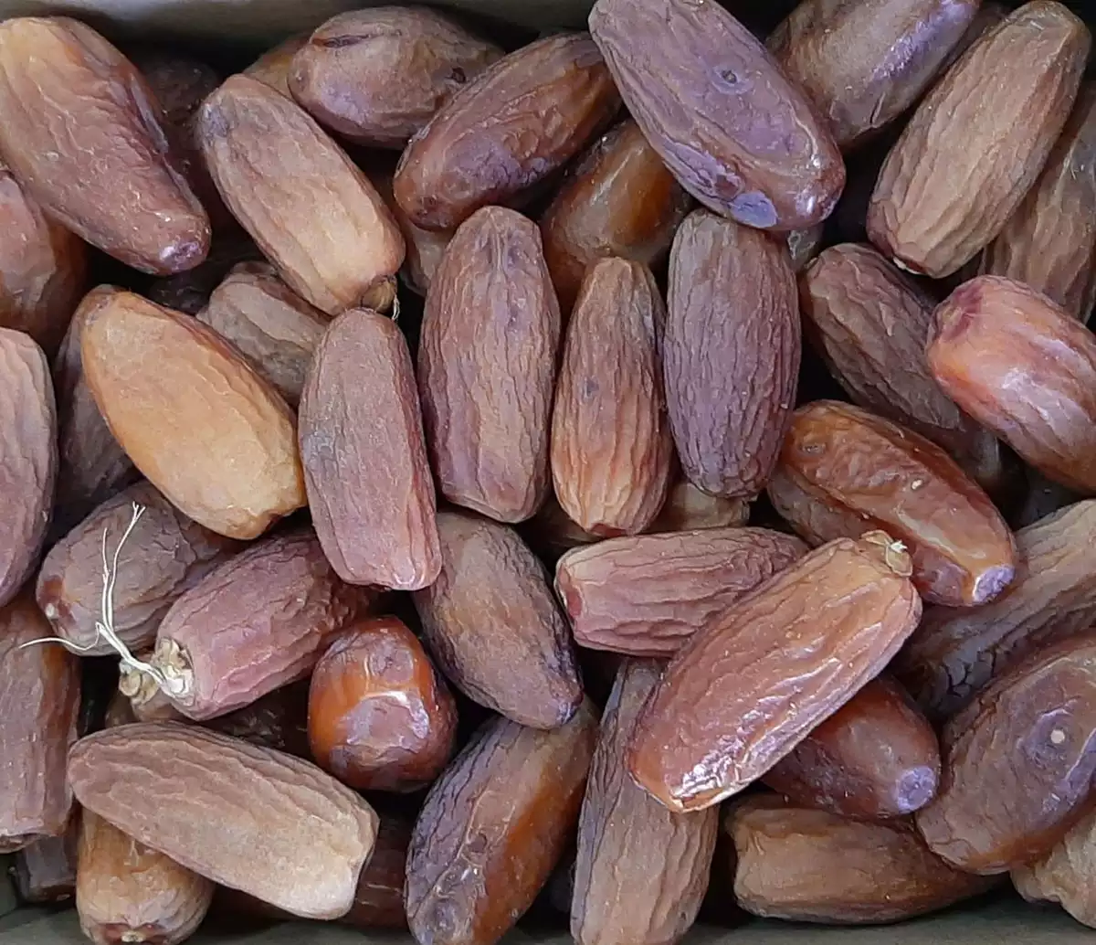 תמר דקל נור יבש וזהידי אורגניים במבצע