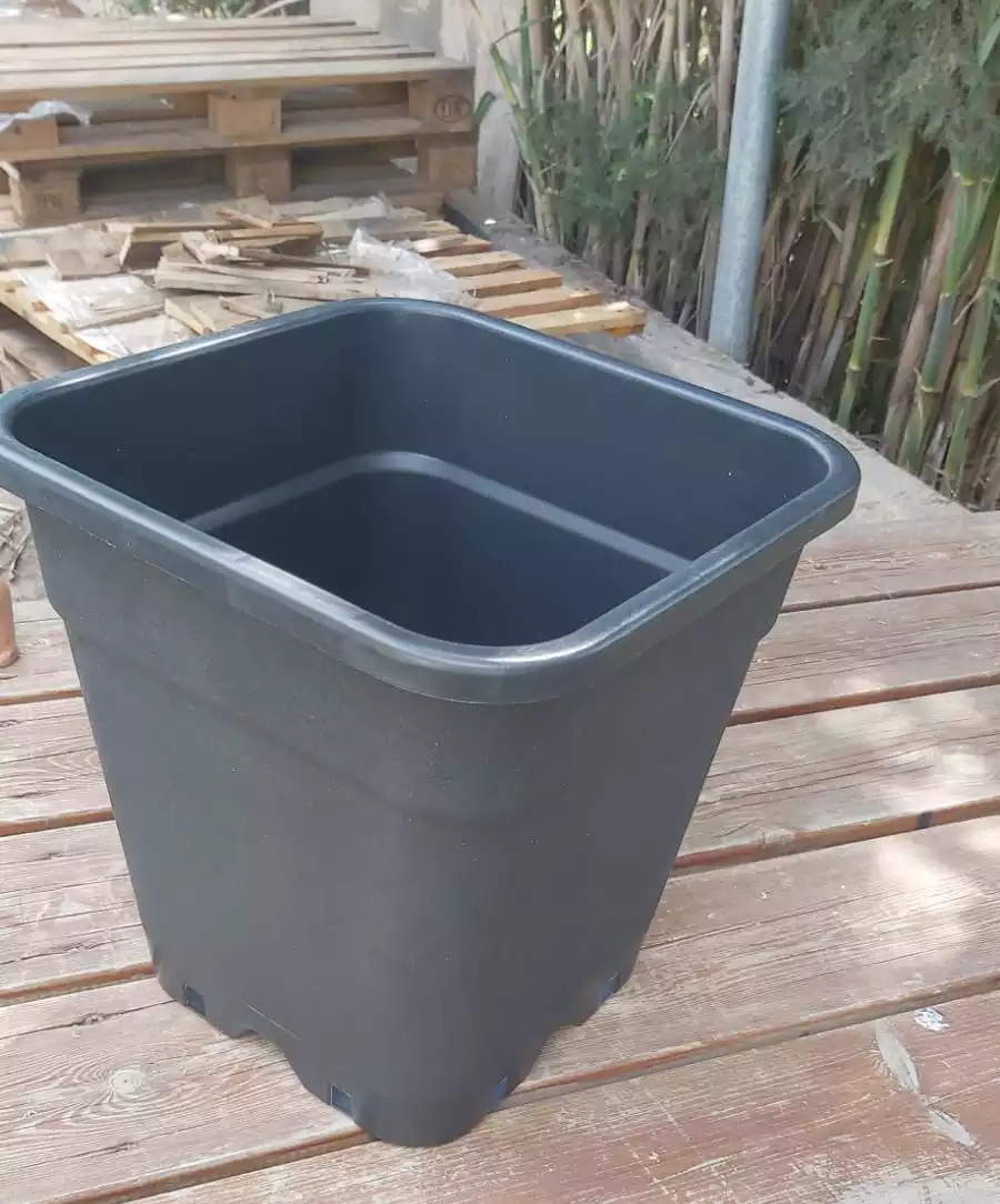 דליים לשתילה