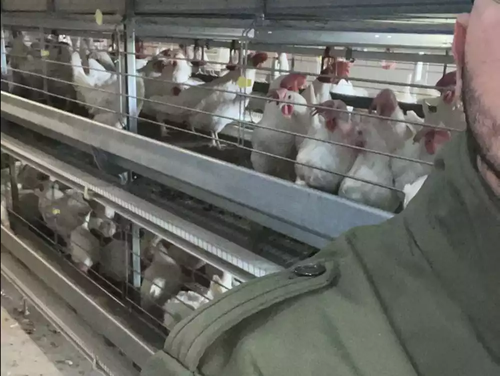 סוללות לול מטילות