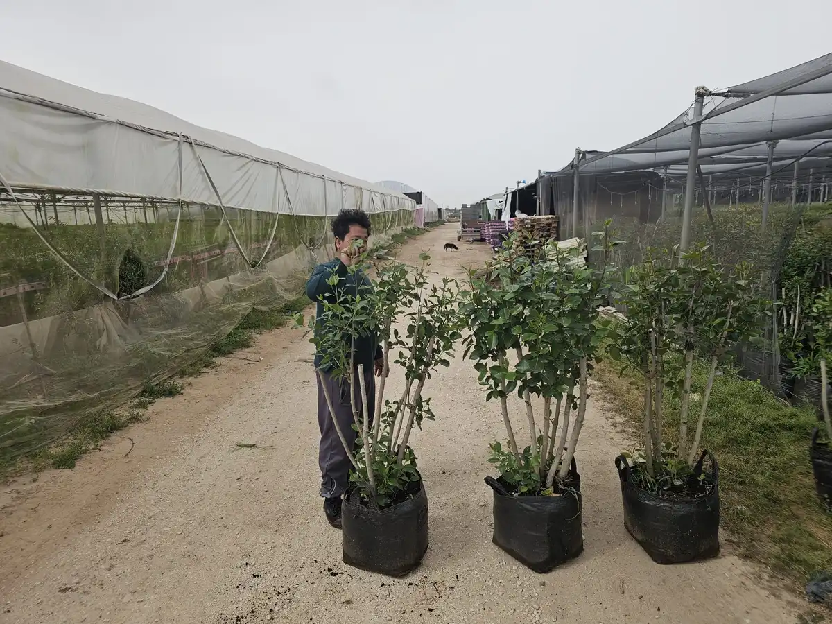 שיחי גת בוגרים