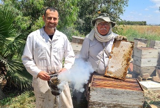 קורס לגידול דבורים וייצור דבש
