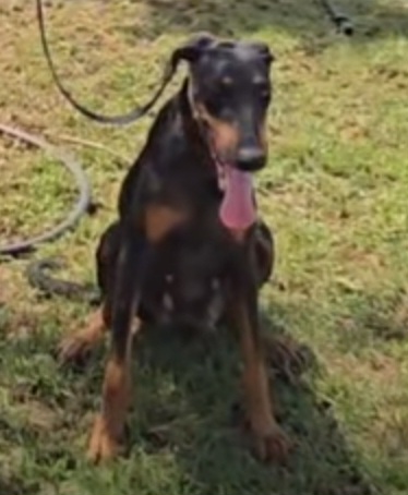 תמונה שלישית