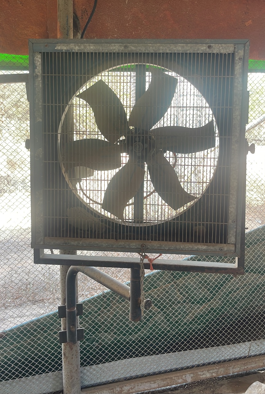 תמונה שלישית