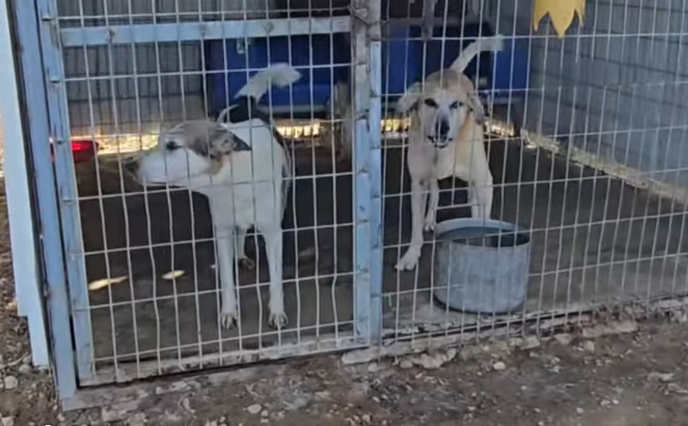 תמונה שנייה