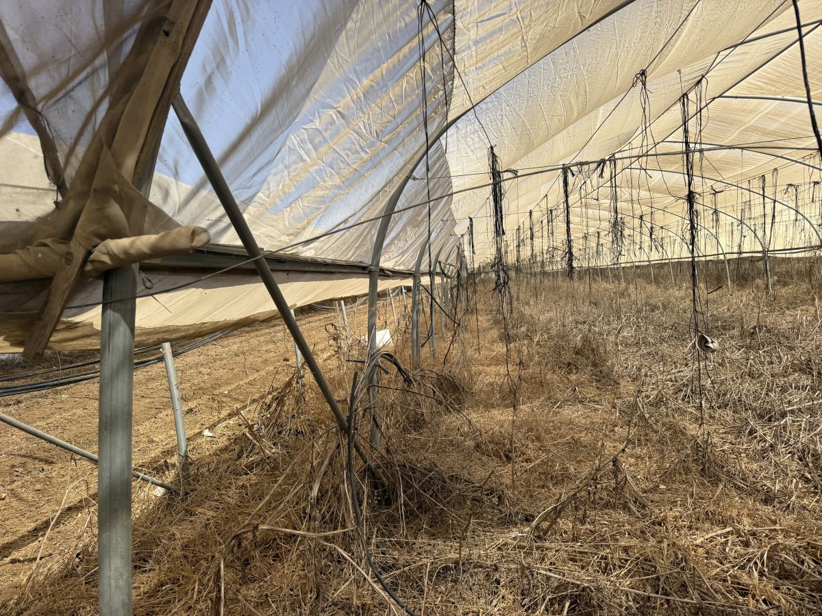 מנהרות 2 צול למכירה 