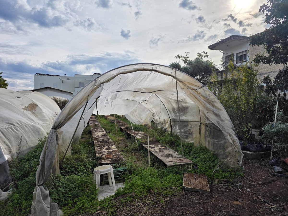 ציוד חקלאי ועצים