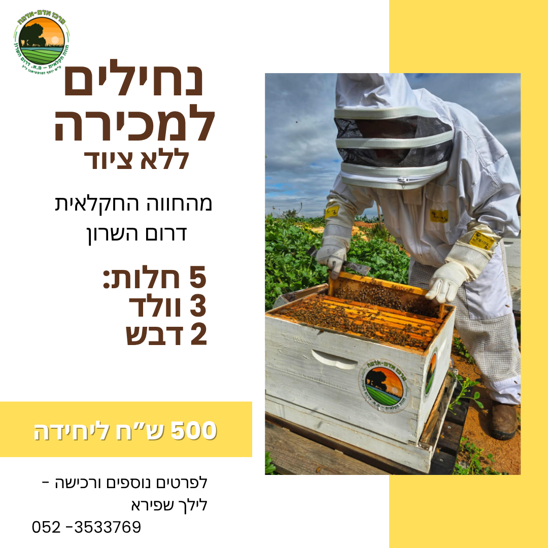 נחילים למכירה - ללא ציוד