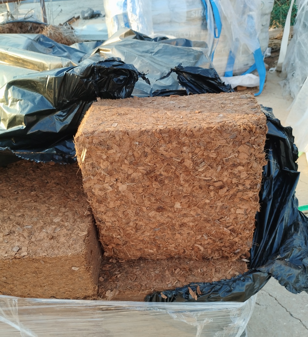 קוביות קוקוס עבה