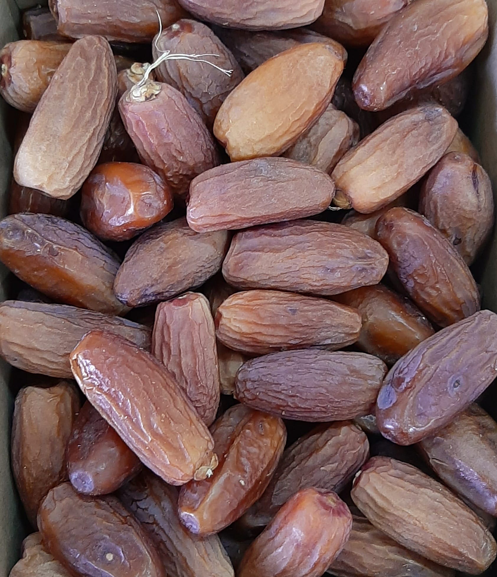 תמר דקל נור יבש וזהידי אורגניים במבצע