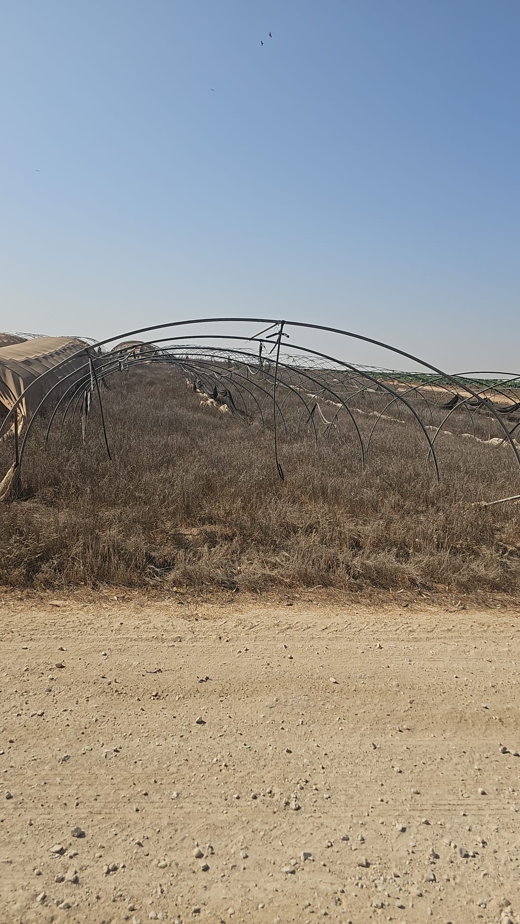 למכירה קשתות 1 צול מיפתח 6 מטר