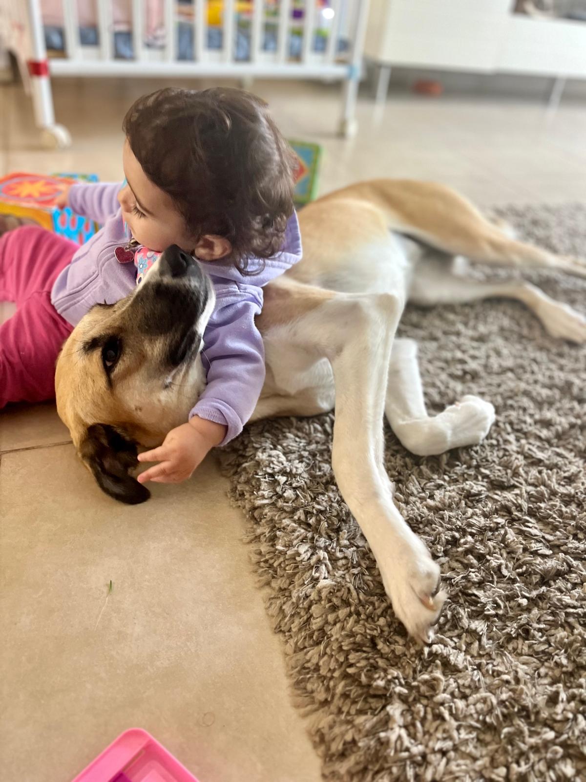 כנענית למסירה 