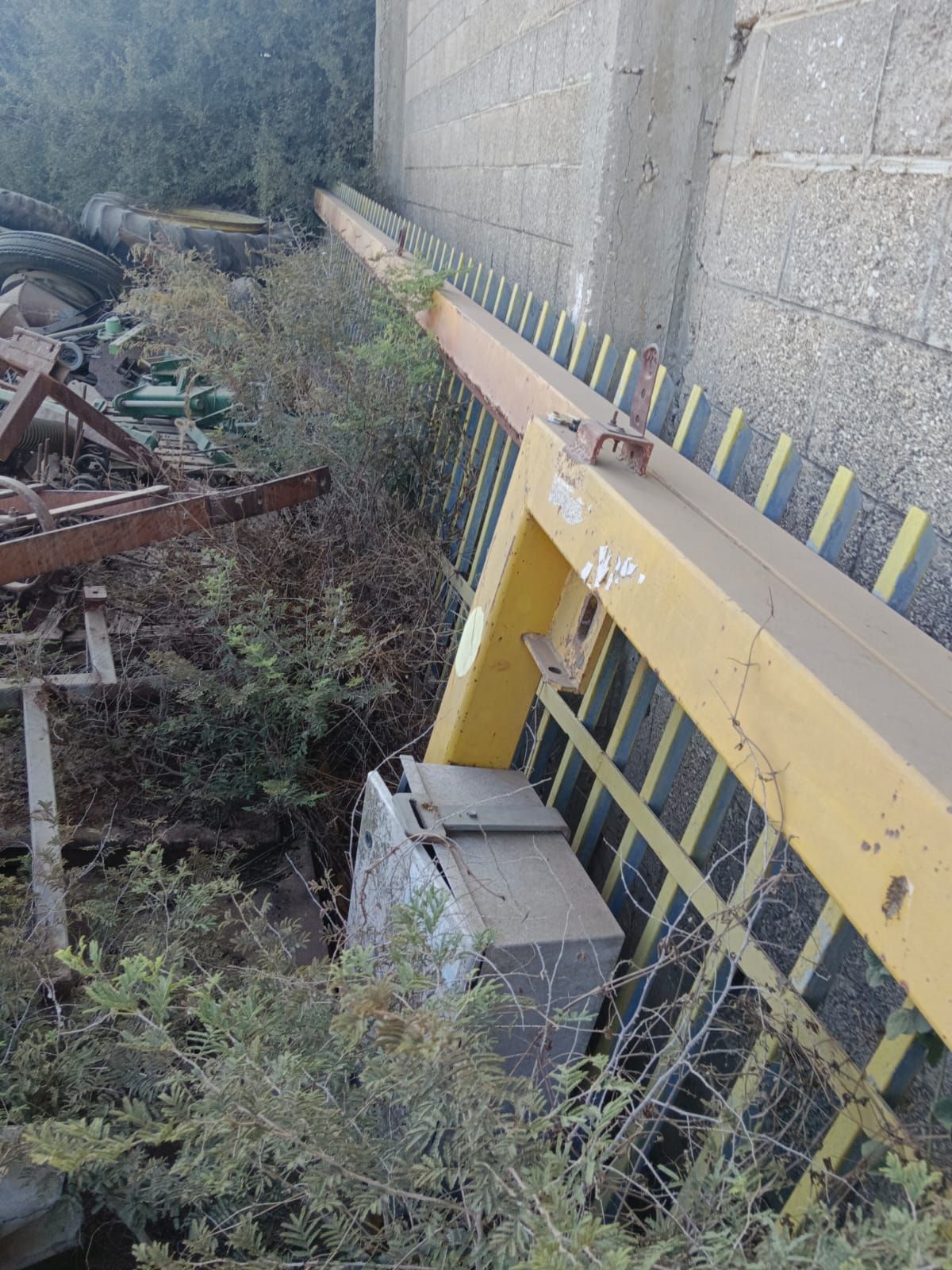 שער גונזולי