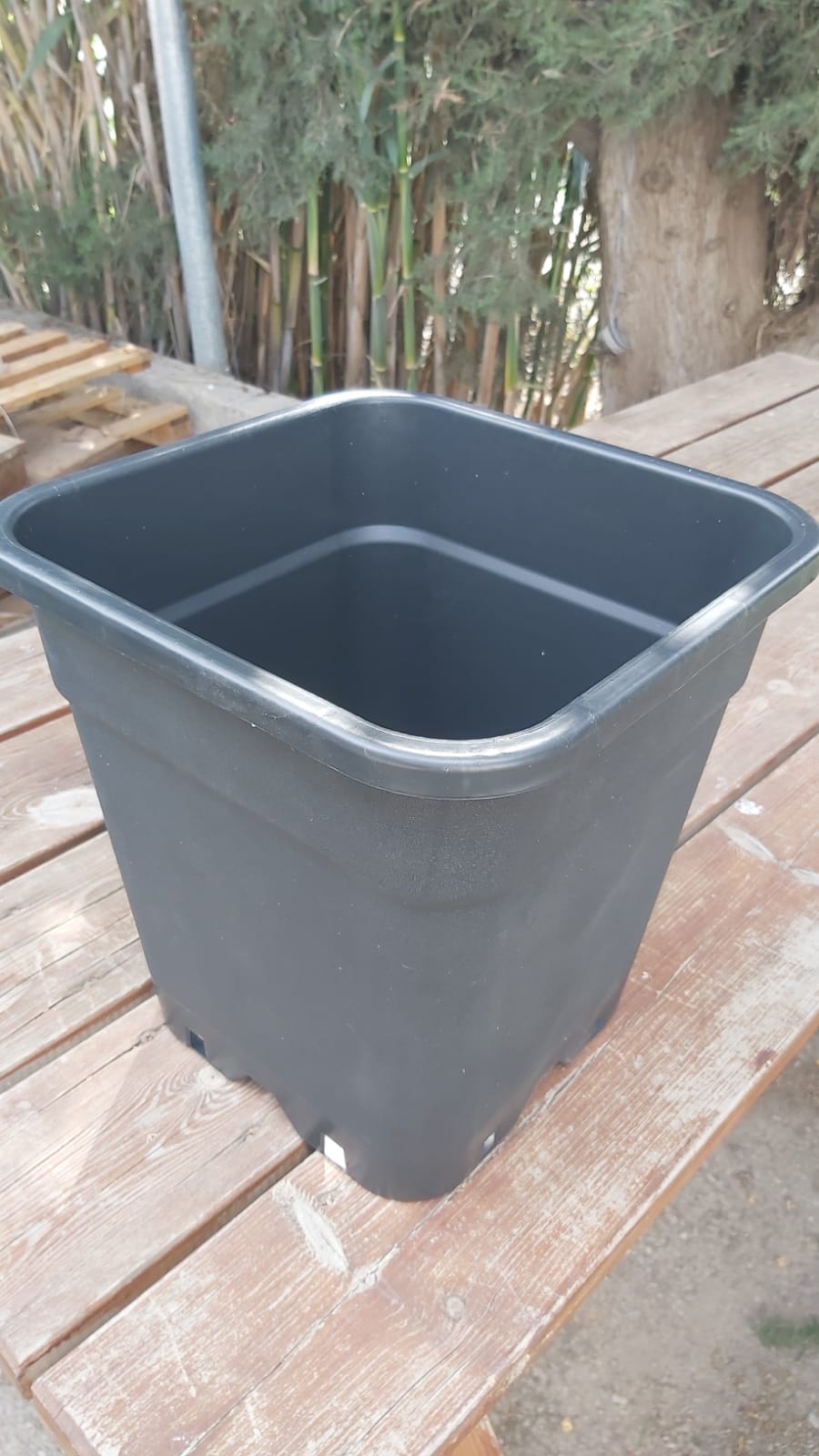 דליים לשתילה