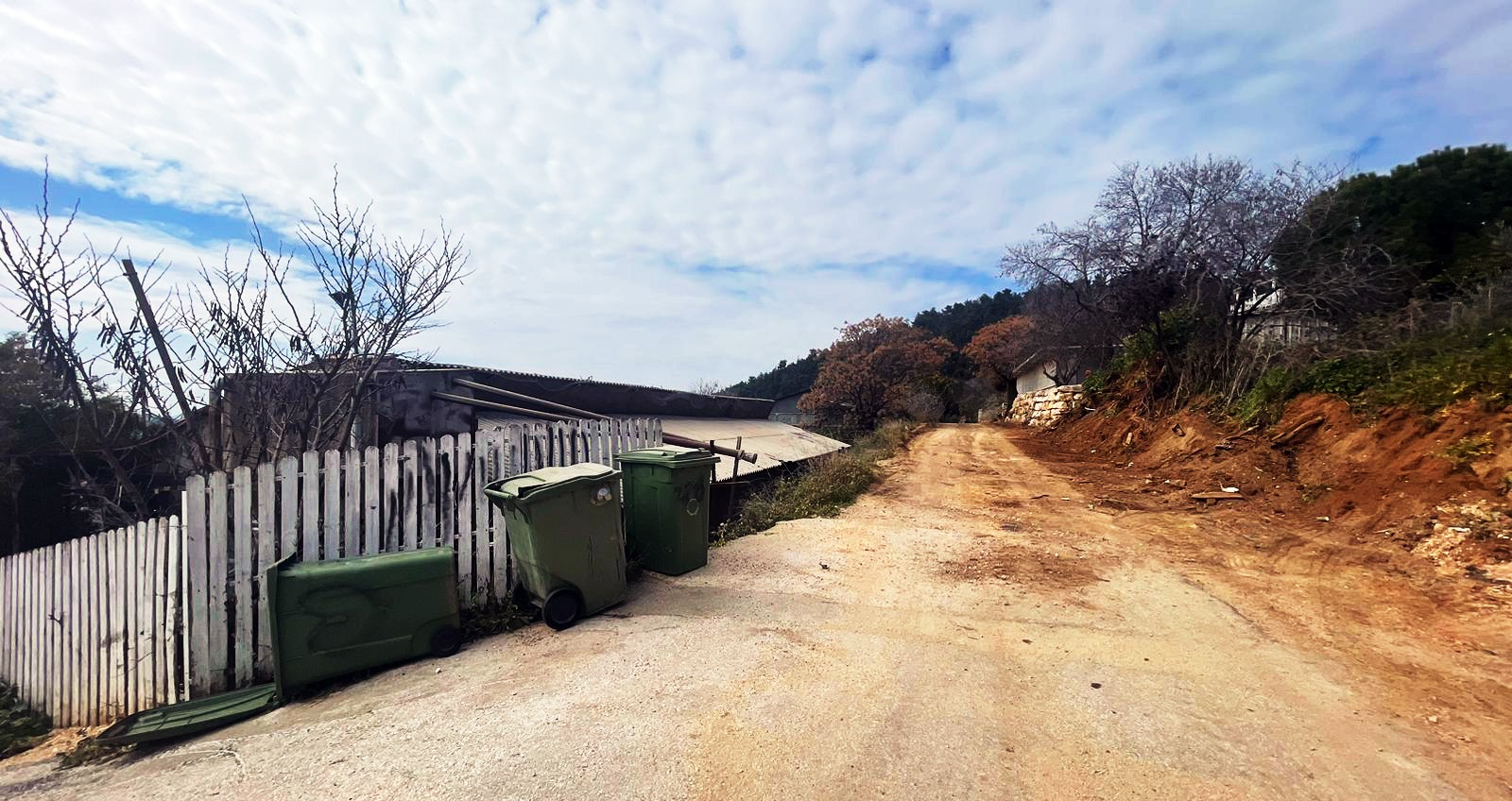 למכירה - מכסת ביצים