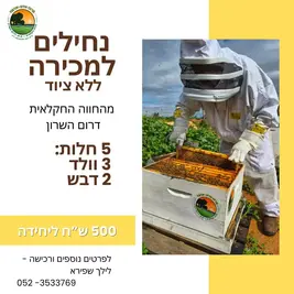 נחילים למכירה - ללא ציוד