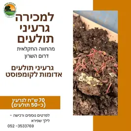 גרעין תולעים אדומות