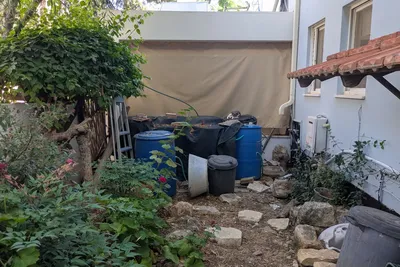 חביות כחולות למסירה