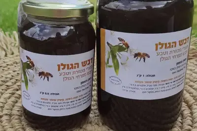 דבש טבעי מפרחי בר