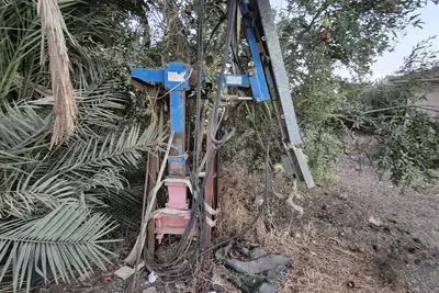 מגזמת ענפים 