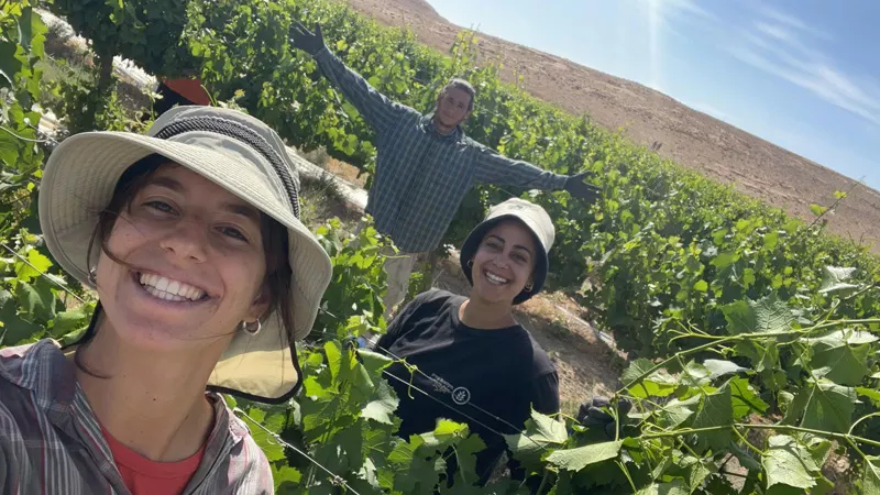 צילום: יקב ננה, מצפה רמון