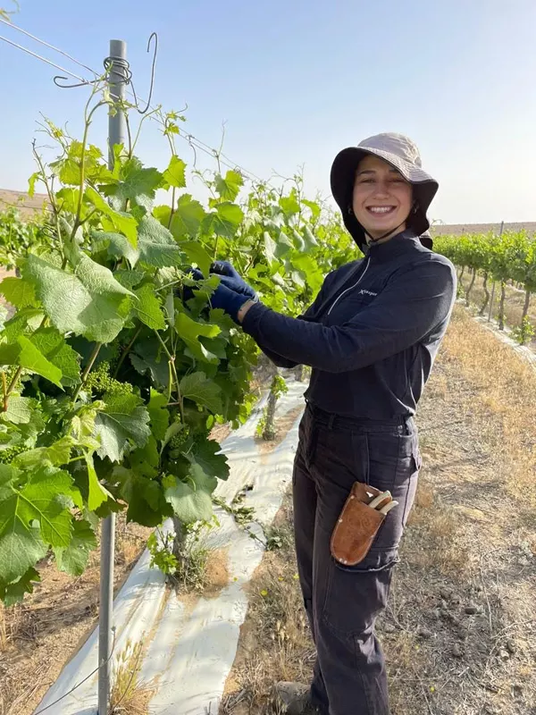 צילום: יקב ננה, מצפה רמון
