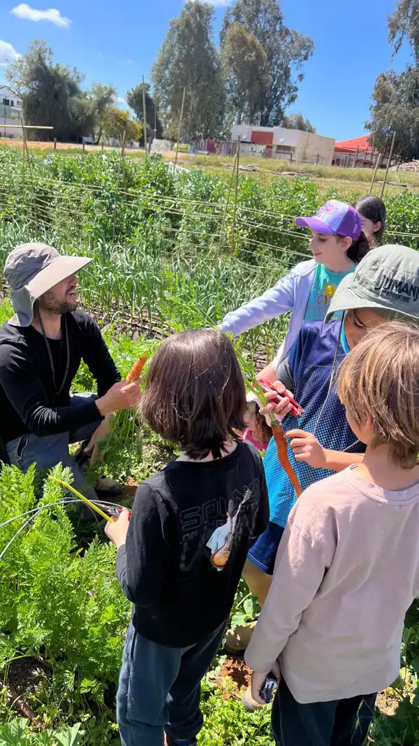 ืฆืืืื: ืื ืืจืง- ืืื ืืืืื ืฆืืืื: ืื ืืจืง- ืืื ืืืืื