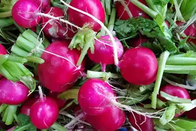 תוצרת חקלאית מעוטף עזה, צילום: מוטי אביבי