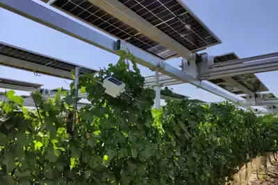 חקלאות חכמה ברמת הנגב. קרדיט - מועצה אזורית רמת הנגב